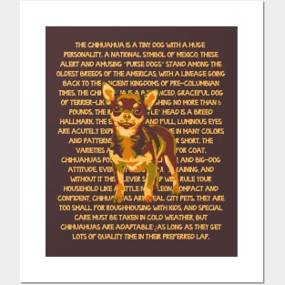 Chihuahua Painting and Information Posters and Art